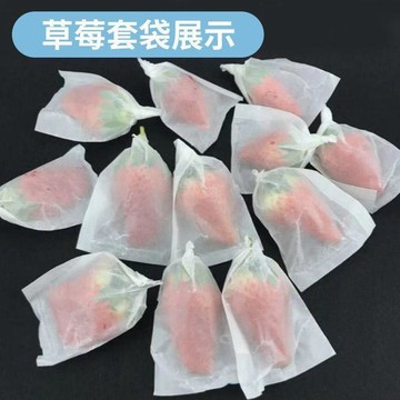 臺灣出🚚草莓套袋大櫻桃專用套袋半透明蠟袋車釐子西梅無花果防雨保護袋