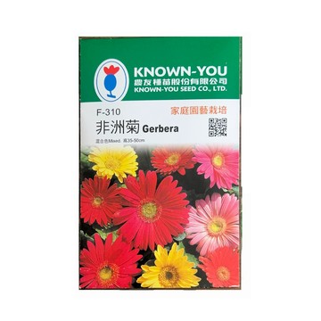 【向花緣】農友 非洲菊 - 花卉種子