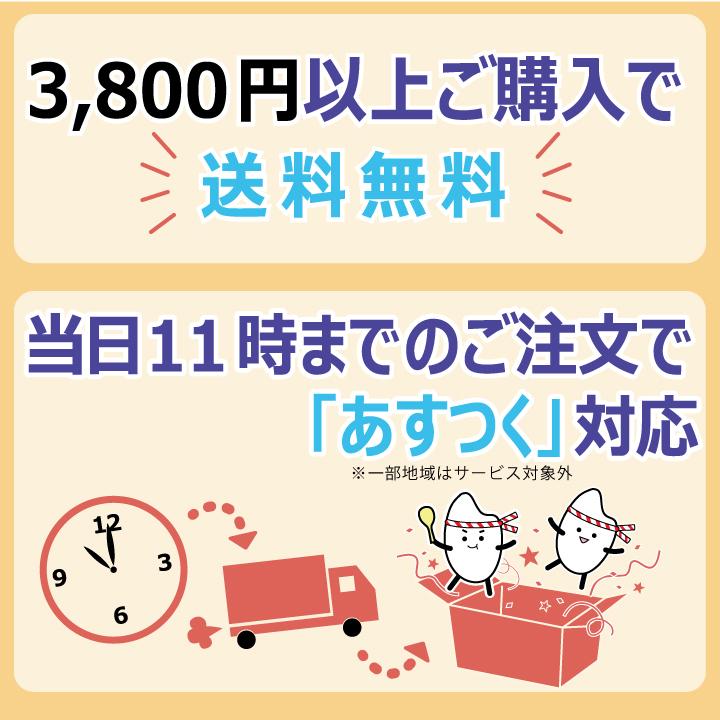 40越後ごはん(150g×20)バイオテックジャパン たんぱく質調整食品　ごはん　米　低タンパク　腎臓病　CKD