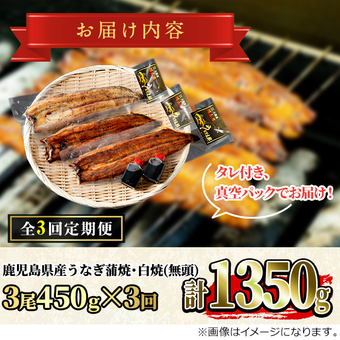 ＜定期便・全3回(連続)＞鹿児島県産東串良町のうなぎ蒲焼と白焼(3尾・計450g以上・秘伝のタレ付き×3回)