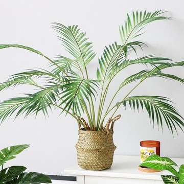 北歐仿真綠植散尾葵假植物擺件客廳桌面綠植擺設裝飾小盆栽