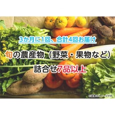 井原市産!旬の農産物(野菜・果物等)詰合せ7品以上　全4回