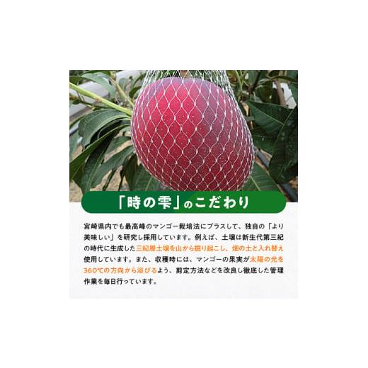 ふるさと納税 宮崎県 川南町 令和６年産 宮崎県産完熟マンゴー「時の雫」４L×１玉【 果物 フルーツ マンゴー 宮崎県産 九州産 完熟マンゴー みやざきマンゴー…