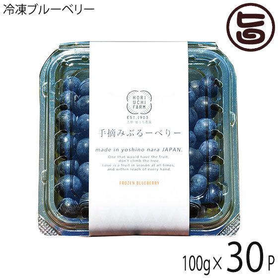 冷凍ブルーベリー100g×30P 堀うち農園 無農薬栽培 安心 安全