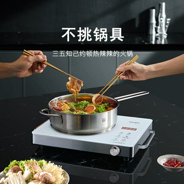 110v伏電磁爐電陶爐火鍋炒菜家用多功能出口美國日本加拿大小家電