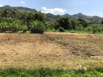甲仙山坡保育農牧用地平坦可耕種承租權轉讓｜高雄市甲仙區四德段
