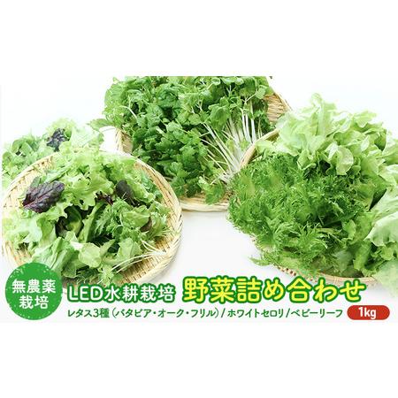 ふるさと納税 LED水耕栽培 野菜詰め合わせ 1kgセット 愛媛県鬼北町