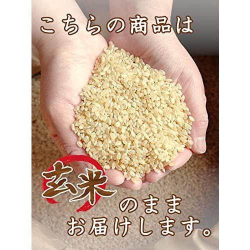  信州産 こしひかり 15kg（5kg×3） 令和3年産