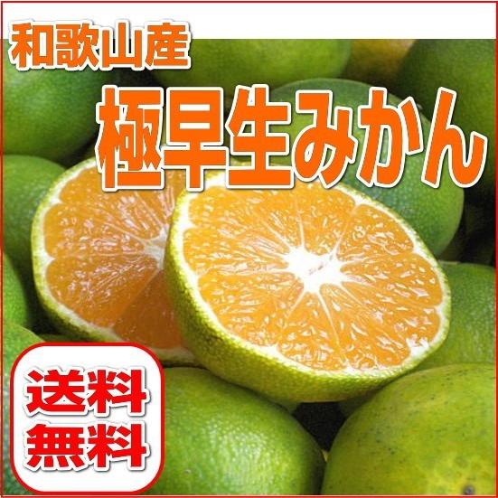 和歌山産 極早生みかん 2.5kg 秀品（贈答用にも）