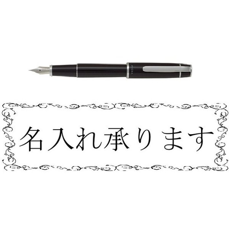 中古】 PILOT パイロット プレラ 万年筆 FPR-3SR 細字 中字用 discoversvg.com