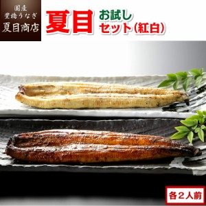 うなぎ 国産 お試し夏目セット 蒲焼き 白焼き(紅白)  3種類の蒲焼き・白焼きが各2人前 豊橋うなぎ ウナギ 鰻 送料無料 お歳暮 クリスマス