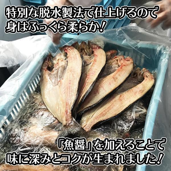 北海道 干物 セット 詰め合わせ 9点 内祝い お返し 魚 海鮮 ギフト ひもの ホッケ 秋鮭 コマイ 鰯 魚の干物