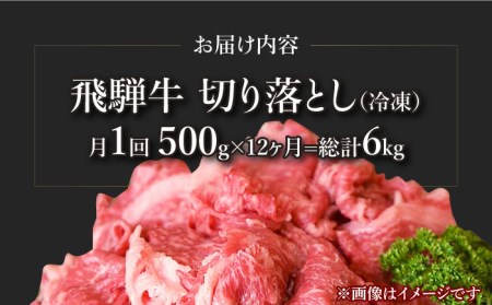 飛騨牛切り落とし 500g 和牛 ブランド牛 国産  [TAZ014]