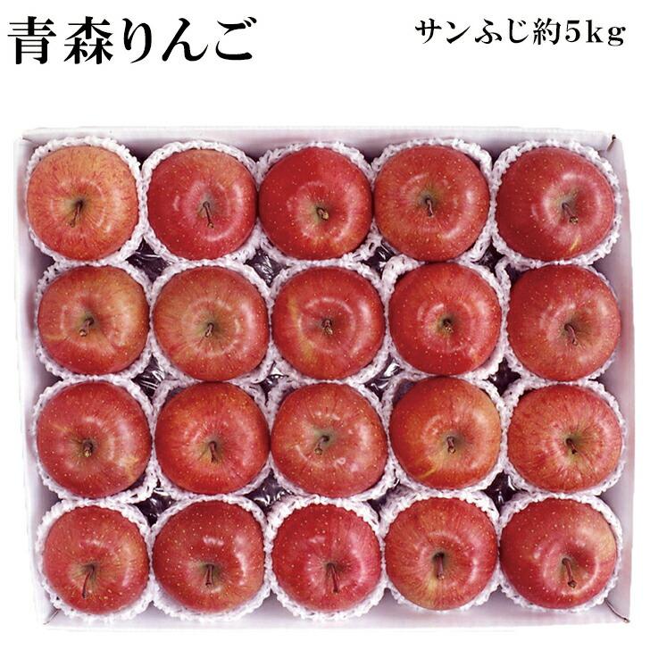 お歳暮2023 産地直送 青森サンふじりんご 32-16063 ギフト ご贈答 お取り寄せスイーツ お取り寄せフルーツ セット　ご自宅で