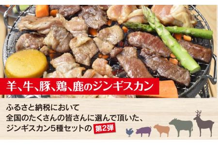 日乃出食品 社長がこだわった 「ジンギスカン食べ比べ5種セット2.5kg」 第2弾(羊・牛・豚・鶏・鹿肉使用) 