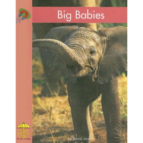 Big Babies (Yellow Umbrella Books)