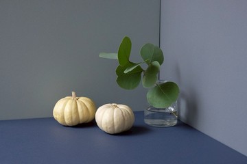 翔藍 - 拍照背景板