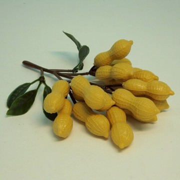 《食物模型》花生束(15粒) 蔬菜模型 - B2556