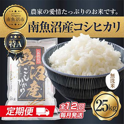 ふるさと納税 南魚沼市 無洗米 南魚沼産 コシヒカリ お米 25kg 精米