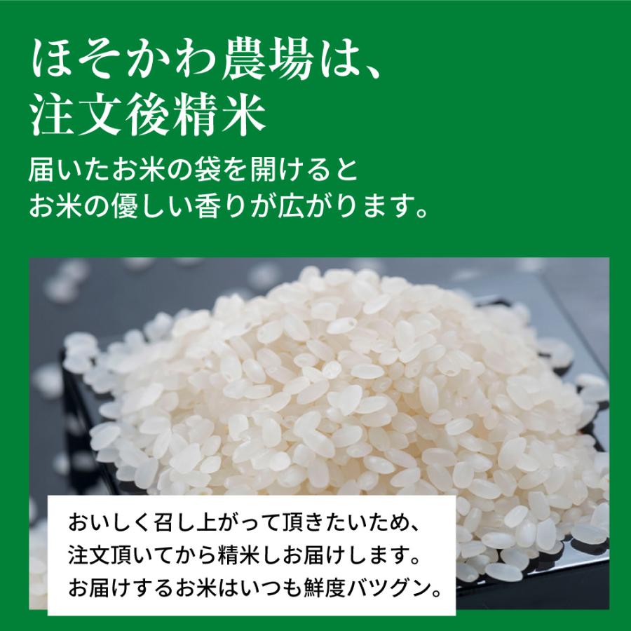 お米 ごはん白米 無洗米 5kg 5キロ 新潟県産 コシヒカリ こしひかり 令和5年産