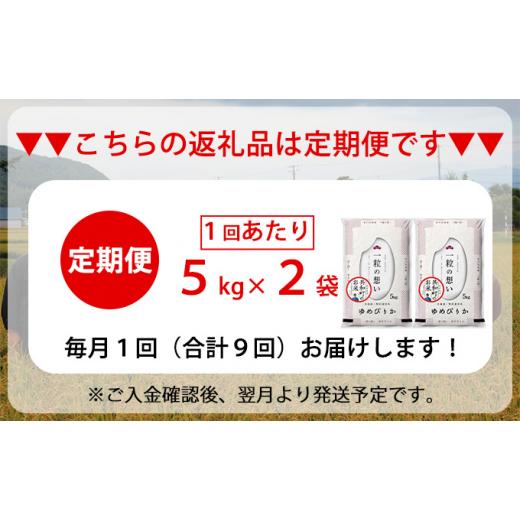 ふるさと納税 北海道 共和町 令和5年産  定期便 9ヵ月連続お届け ゆめぴりか 10kg 精米 北海道 共和町