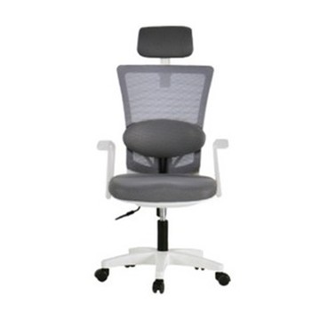 BareunLab 姿勢矯正學習辦公電腦椅 頭枕腰靠款  均碼  白色 + 深灰色