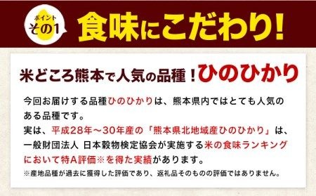 新米 令和5年産 ひのひかり  白米 or 無洗米 《11月頃から出荷開始》 10kg (5kg×2袋) 計6回お届け  白米 無洗米 熊本県産 単一原料米 ひの 熊本県 長洲町---hn5tei_64500_10kg_mo6num1_ng---