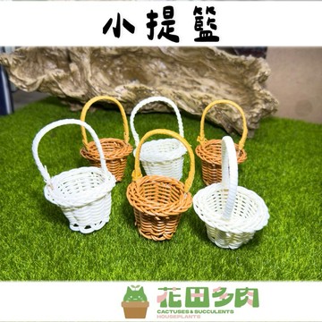 《花田多肉》🌵【小提籃】 竹籃/1吋盆/小豆盆/園藝/飾品
