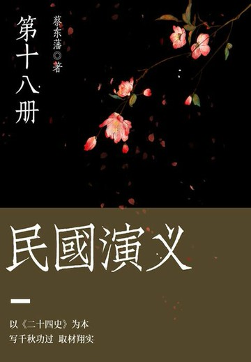 【電子書】蔡东藩经典历史小说：民国演义（18）