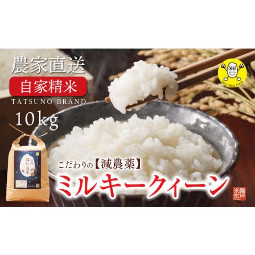 ふるさと納税 長野県 辰野町 辰野産ミルキークイーン「天竜ほたる米」10キロを農家から直送♪　９月中旬新米発送！！数量限定！