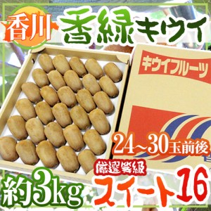 香川県 ”香緑 スイート16” 24～30玉前後 約3kg 最低糖度15.5度以上保証 キウイ 送料無料