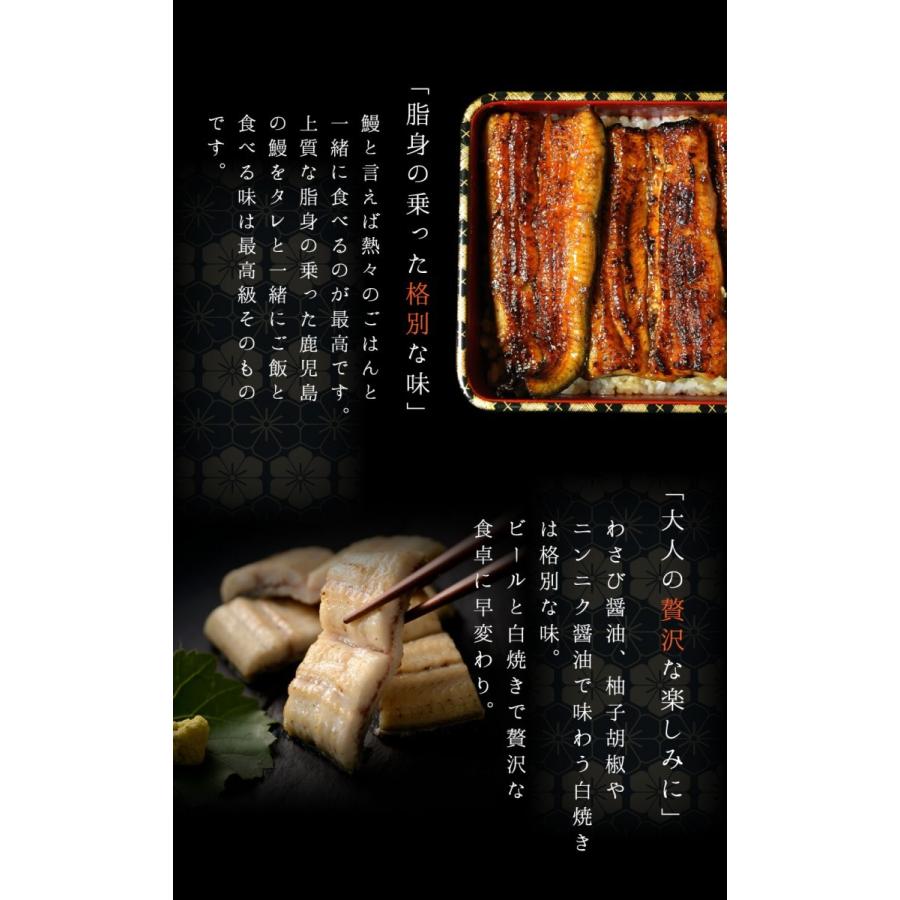 うなぎ 鰻 蒲焼 白焼き 特大 国産 1尾単品