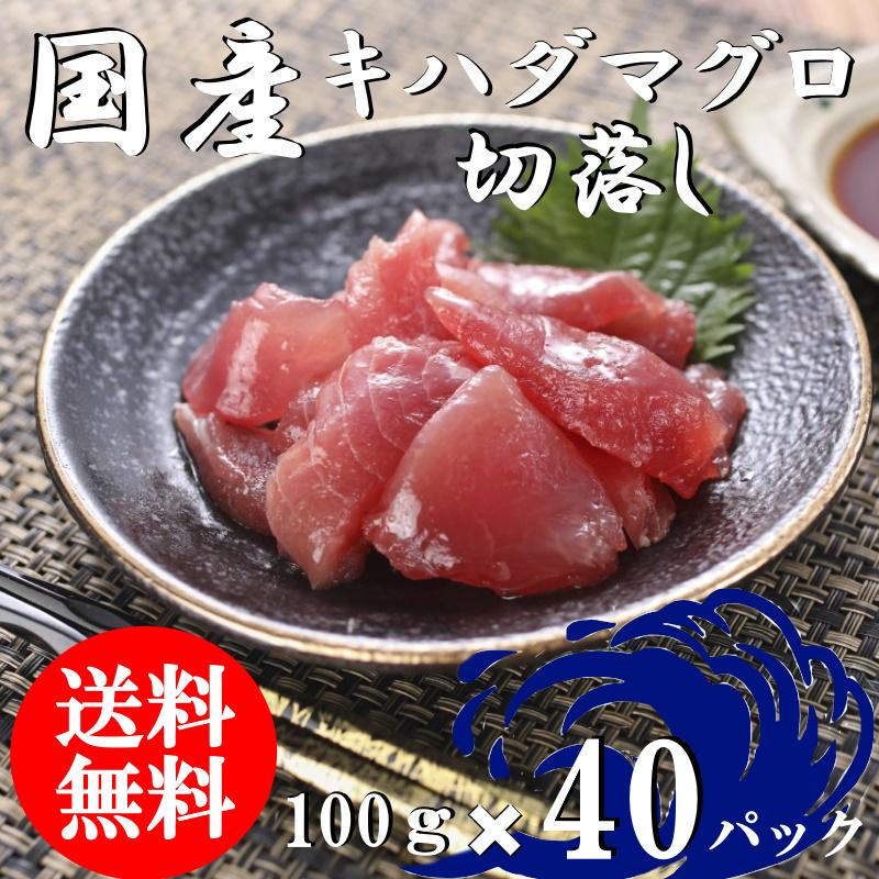 （送料無料）国産マグロ切落し（上）　100ｇ×40パックセット　キハダマグロ　配送不可地域あり　きはだまぐろ　代引き不可