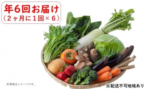 定期便 野菜セット 年6回 2か月に1回×6回 おまかせ 10～15種 旬 朝倉市産 配送不可 離島