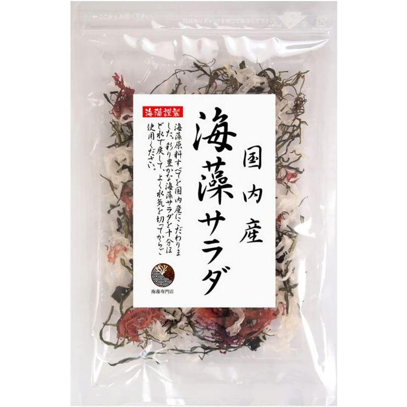 海藻本舗 国産海藻サラダ 40ｇ（20g×2袋）