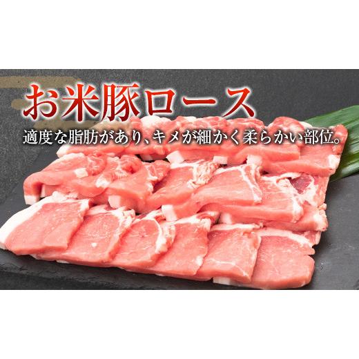 ふるさと納税 宮崎県 ◆宮崎県産 お米豚焼肉セット(合計1kg)