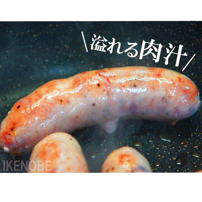 粗挽き生サルシッチャ500ｇ(5本入)冷凍 本場イタリアに負けない肉汁たっぷり 黒豚 島豚 国産豚肉 ソーセージ ウィンナー