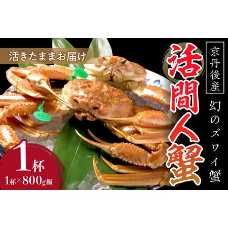 ふるさと納税 京丹後産 活間人蟹 鮮度抜群、活きたままお届け！！ 800g級×1杯 京都府京丹後市