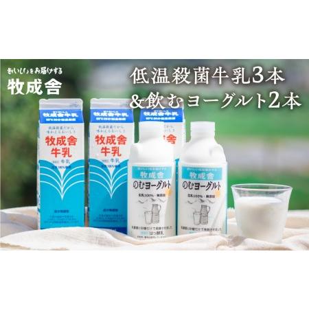 ふるさと納税 牧成舎 低温殺菌牛乳 3本 無添加 飲むヨーグルト 2本 飛騨産生乳100%使用 [A0104] 岐阜県飛騨市