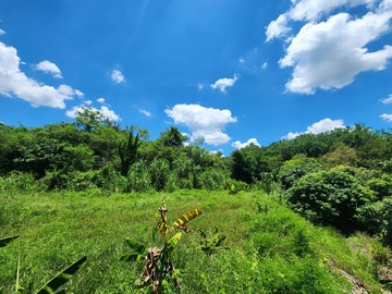 土地已申請取得農業證明，現況屬農作使用(未臨路)｜高雄市內門區溝坪段