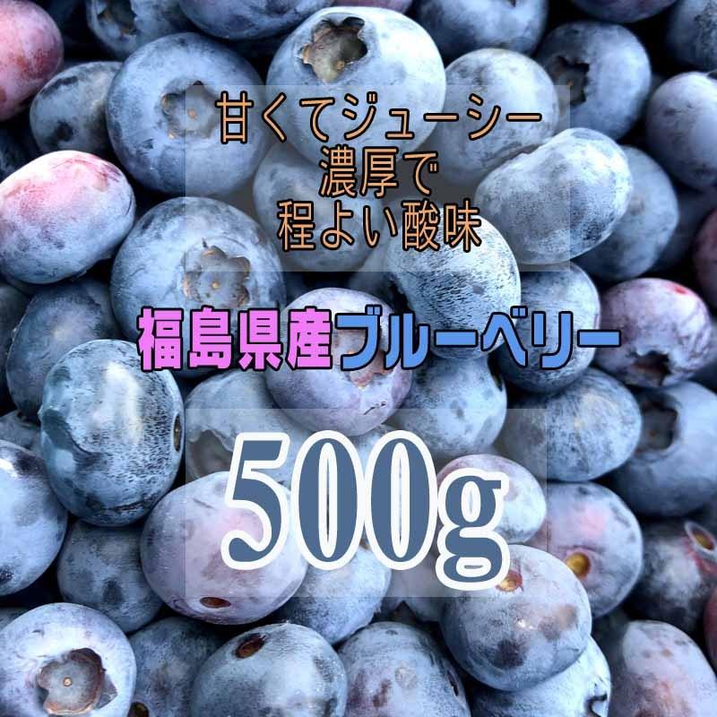 ブルーベリー 500g 福島県産 減農薬 無化学肥料栽培 冷凍