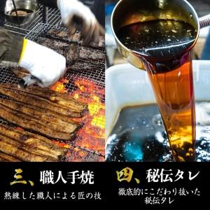 ふるさと納税 1714 大人気！鯉家の絶品蒲焼「簡単！真地(マジ)焼ききざみうな丼(10袋・ 1,000g「100g×10袋］)」 鹿児島県鹿屋市