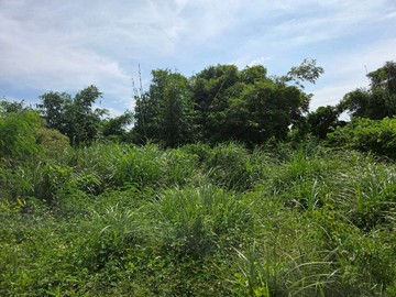 羅東轉運站附近 甲種建築用地｜宜蘭縣羅東鎮十六份新段