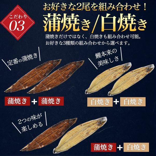 国産 うなぎ 朝じめうなぎ 2尾セット 200〜250g 国産 愛知 超特大サイズ 冷蔵便発送 かば焼き 蒲焼 白焼き 鰻 ウナギ しんこ 新仔 お歳暮