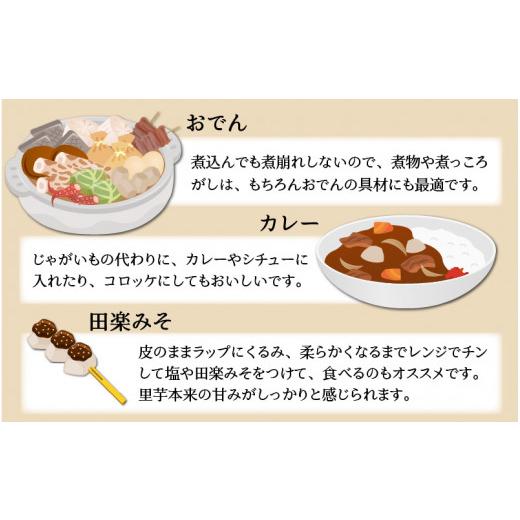 ふるさと納税 福井県 大野市 上庄さといも 10kg 減農薬・減化学肥料の特別栽培里芋