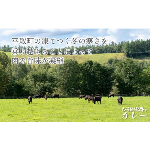 ふるさと納税 北海道 平取町 びらとり和牛カレーセット（A）中辛200g・辛口200g×各3箱