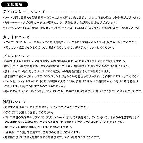 アイロンプリント用 艶消スタンダード RMS [500mm幅] カッティング用アイロンシート 500mm幅以上のカッティングマ?