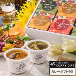 お歳暮 ギフト 野菜をMOTTO カレー ギフト 6個 セット ｜ 国産 野菜 本格 カレー  レトルト  グリーンカレー チリコンカン スープカレー