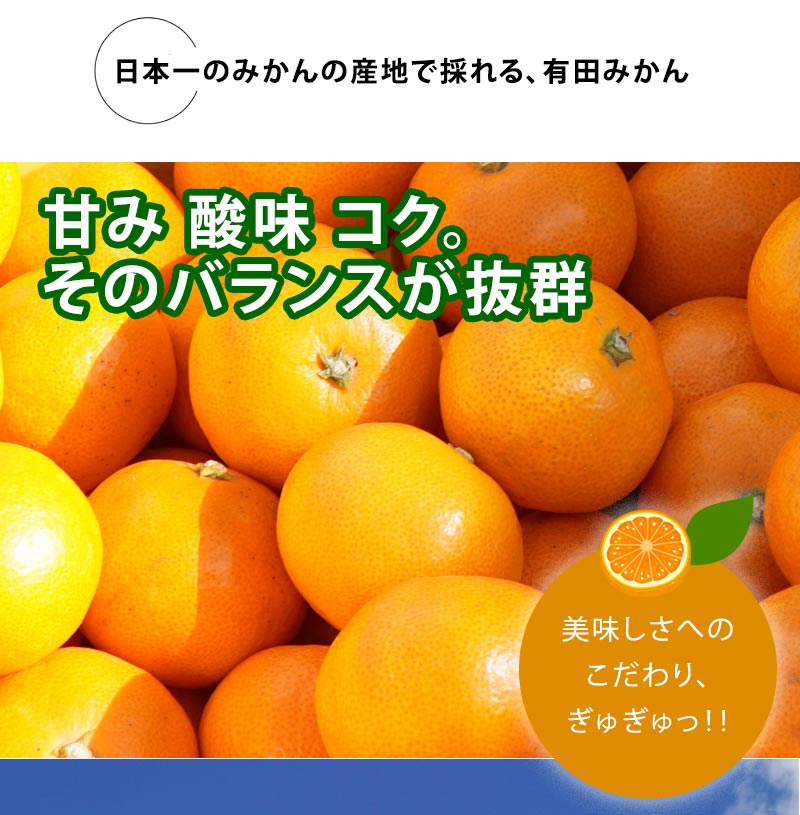 低農薬、自然のマルチ栽培で作る美味しい有田みかん Ｓサイズ 10kg 送料無料（北海道、沖縄を除く） 甘くて美味しい見事な秀品のみ。お歳暮にもお喜び頂けるギフトです