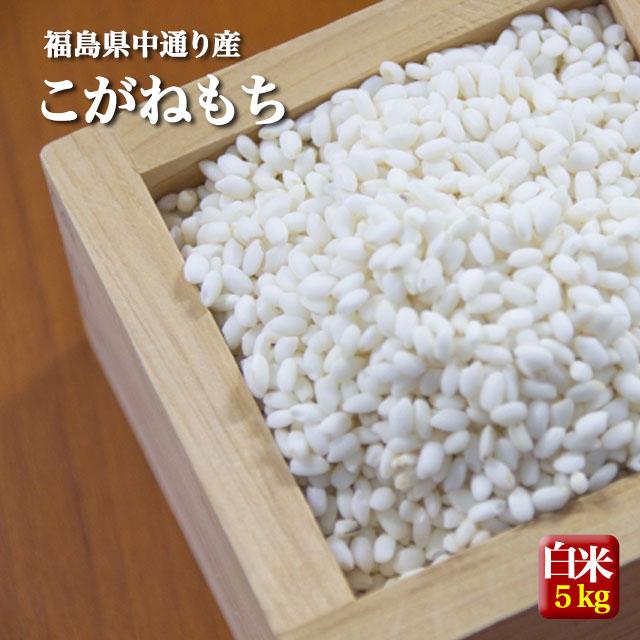 もち米 新米 お米 令和5年産 福島県中通り産こがねもち白米5kg 送料無料 ※一部地域を除く